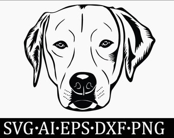 Labrador svg, Labrador svg bundle. Silhouette du Labrador.