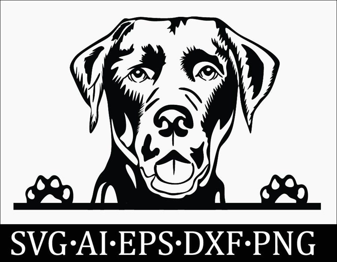 Labrador Svg, Labrador Svg Bundle. Labrador Silhouette. - Etsy