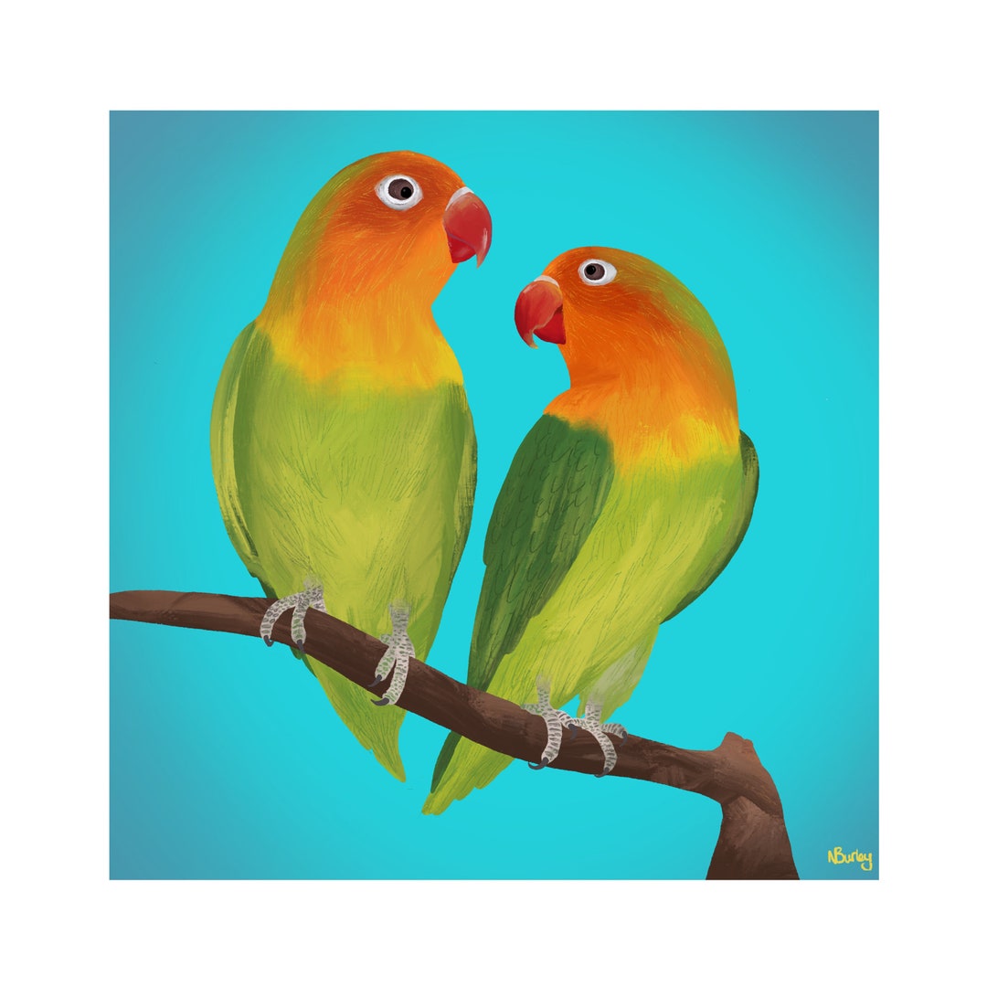 Lovebirds Etsy lovebirds-etsy