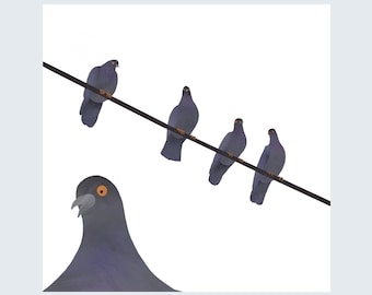 Pigeons on a Line