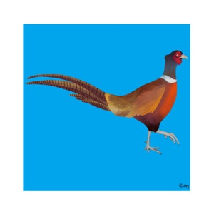 Pheasant