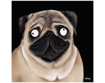 Pug
