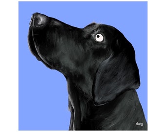 Labrador