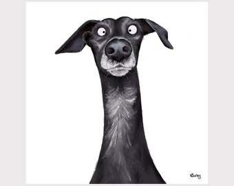 Whippet