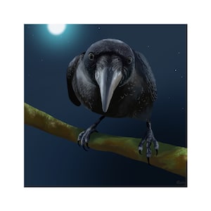 Crow