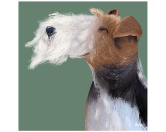 Fil Fox Terrier