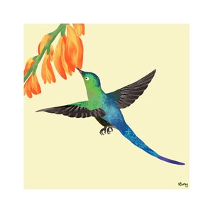 Hummingbird