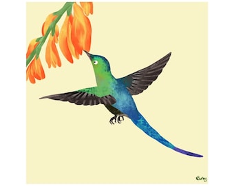 Hummingbird