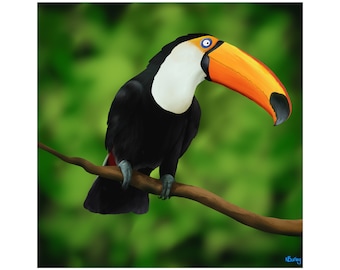 Tucano