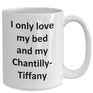 Funny Chantilly-Tiffany Mug - Love My Bed and Chantilly-Tiffany Cat Coffee Cup