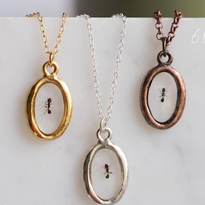 May include: Three oval pendant necklaces with a tiny ant encased in clear resin. The pendants are in gold, silver, and copper tones, each suspended from a delicate chain. The necklaces are displayed on a white surface.