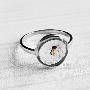 May include: A silver ring with a clear, round setting encasing a preserved mosquito. The ring band is smooth and polished. The insect is visible within the clear setting. The text "6 Day Creations" is visible on the bottom right.