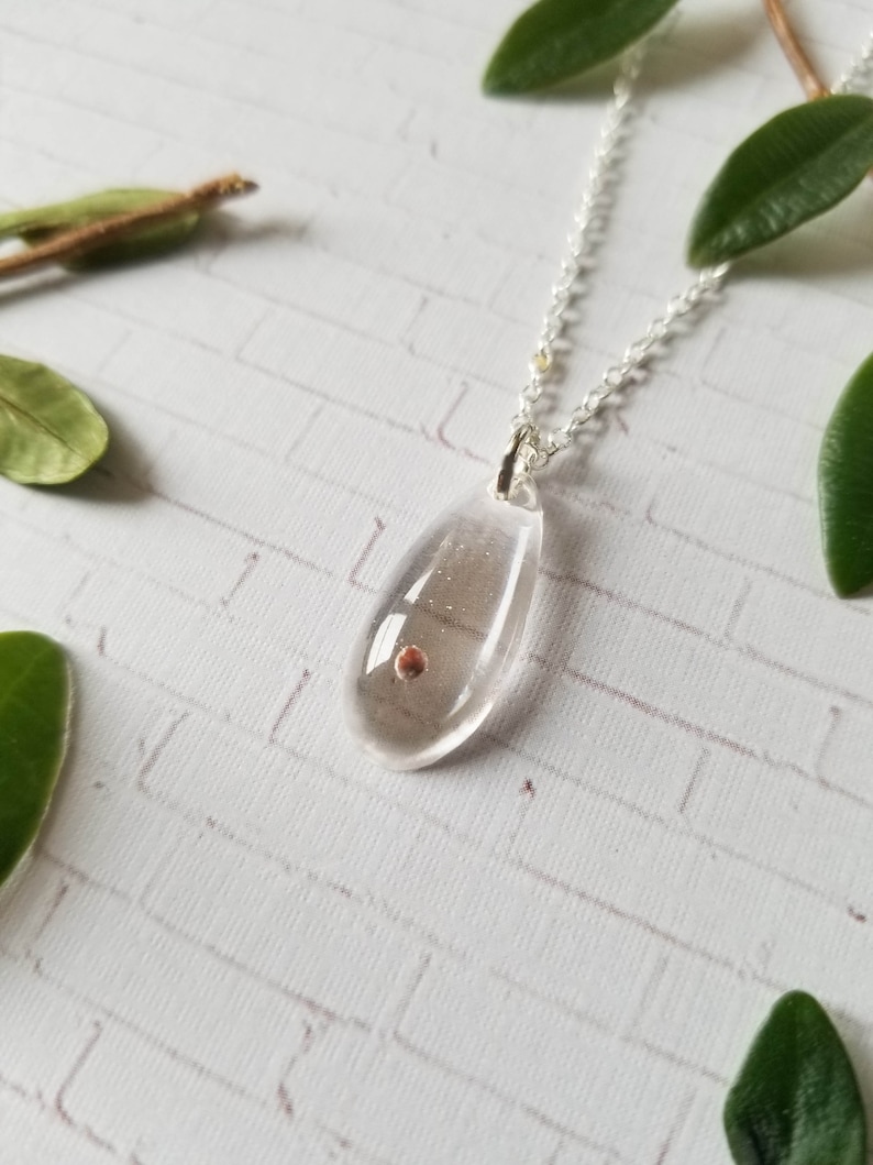 Mustard Seed Necklace 925 Sterling Silver Chain Unique Etsy