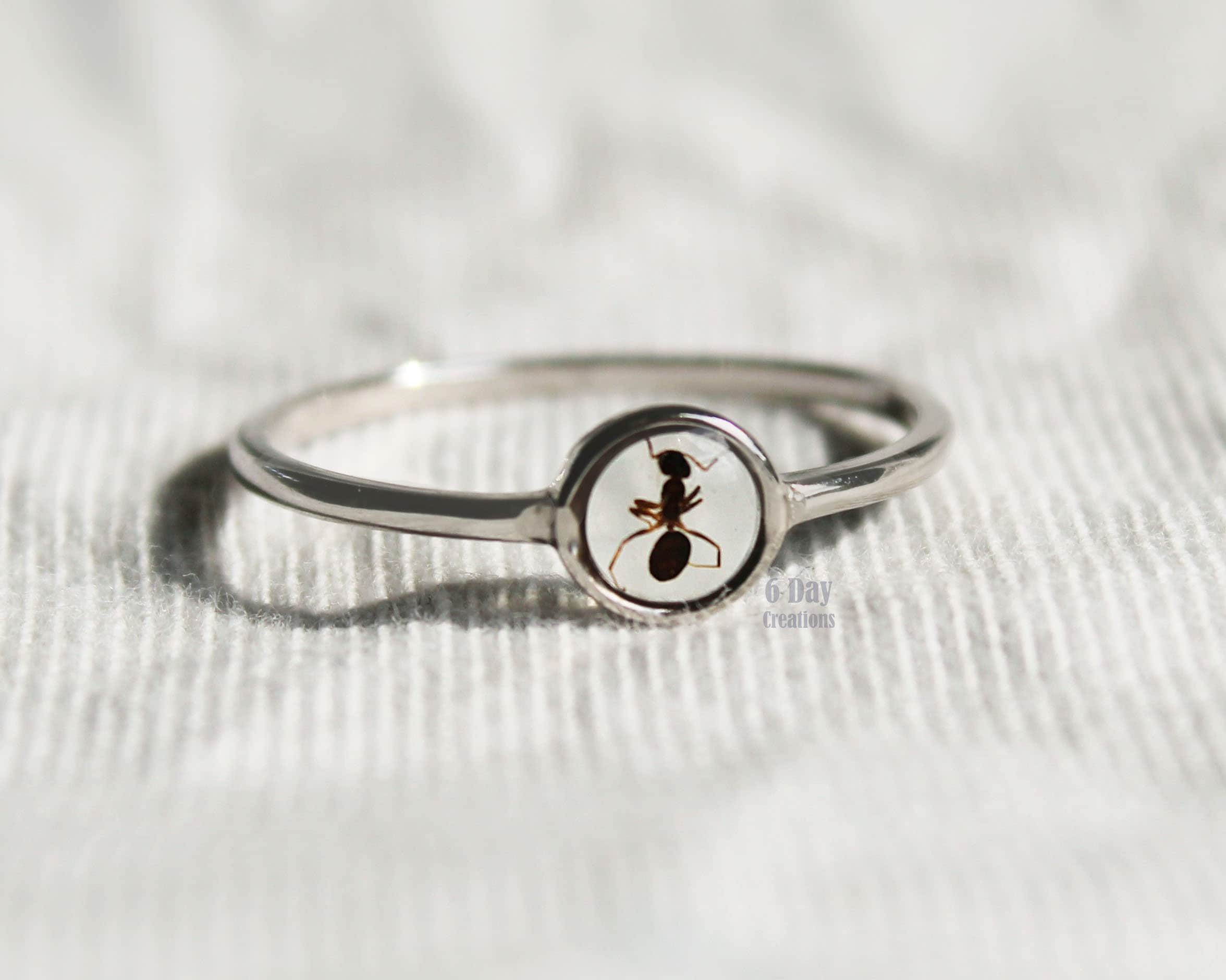 00s M・A・R・S / Ant Ring Silver 925 蟻 琥珀 00s M・A・R・S / Ant Ring Silver 925 蟻 琥珀 【公式通販】