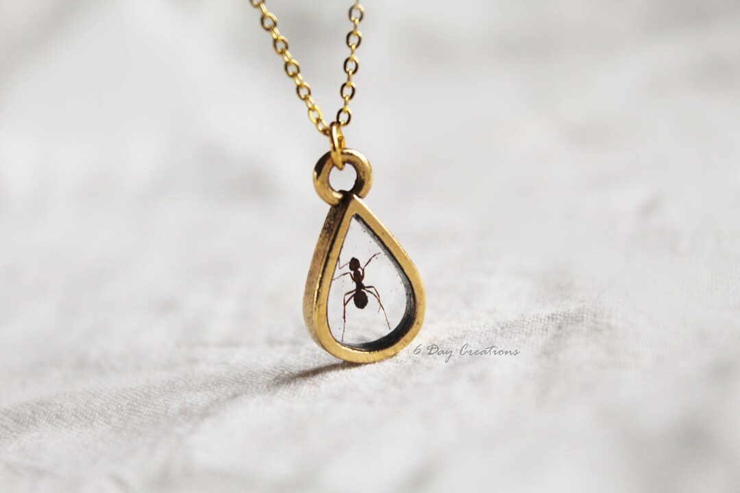 REAL ant necklace | 24k gold plated | sterling silver plated chain | handmade bug jewelry | unique insect necklace | minimalistic | nature