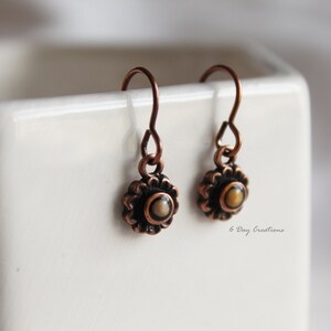 May include: A pair of copper earrings with a small, round, white and brown stone in the centre of each earring.