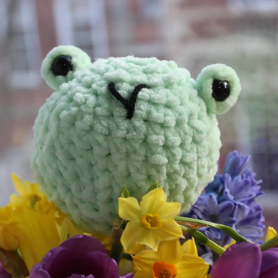Soft Squishy Frog Crocheted Frog Frog Plush Worry Pet Frog Gifts Etsy