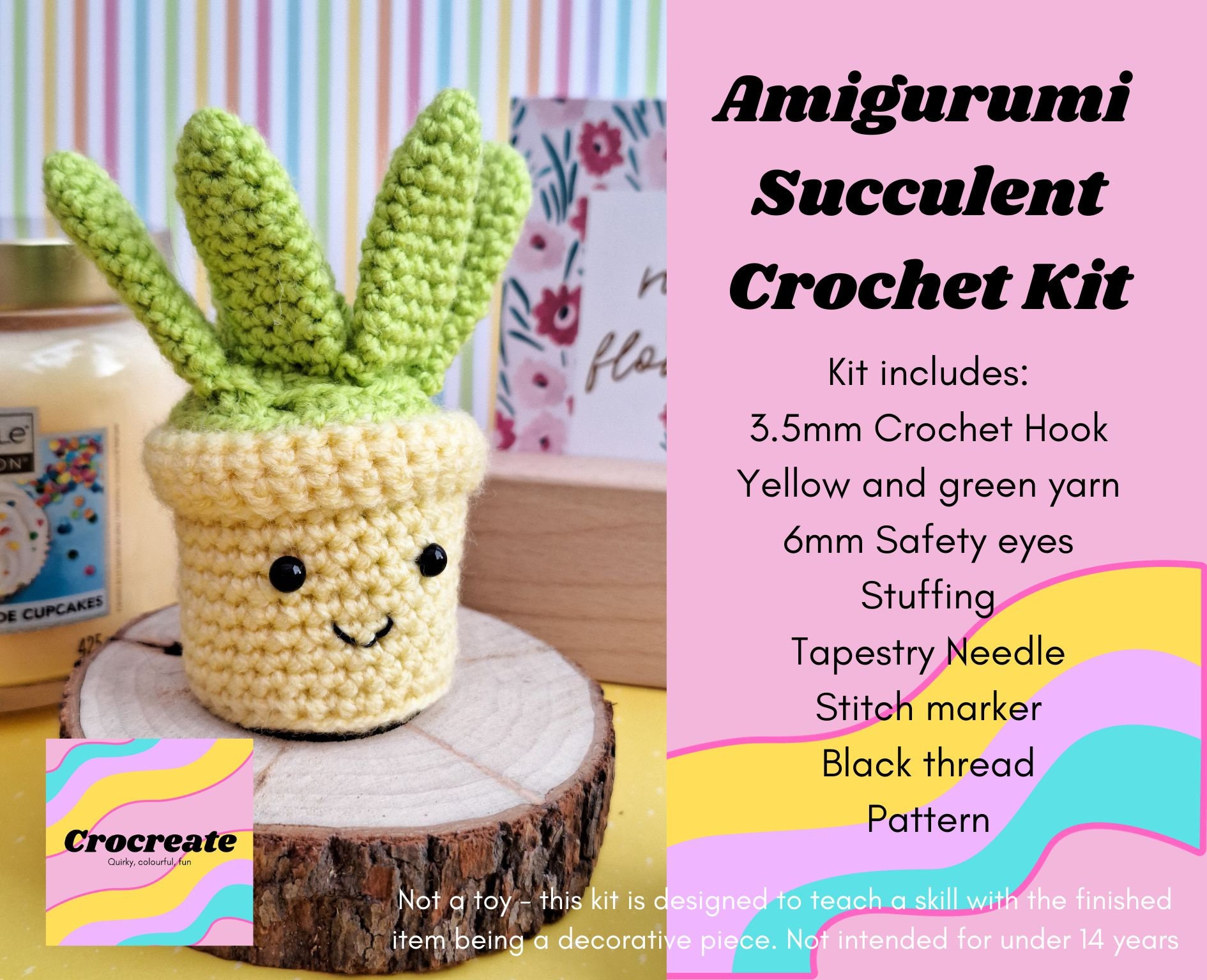 TENGYES tengyes crochet kit for beginners - 5pcs succulents