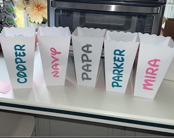 Personalized Plastic Popcorn Bucket: Family Movie Night, Party Favor.