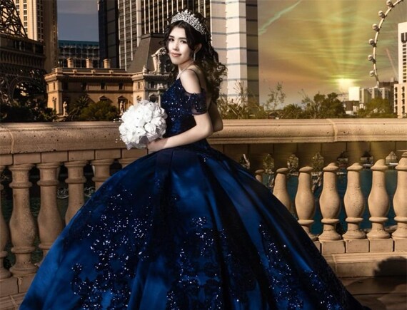 Cinderella Blue Wedding Dress Dust Blue Ball Gown Beaded Luxury Princess  Wedding Dress Fairy Disney Princess Wedding Dress ball Gown - Etsy