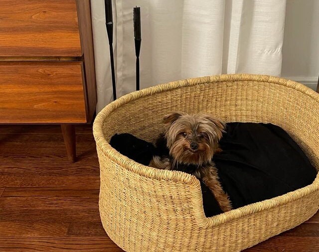 wicker dog bed medium