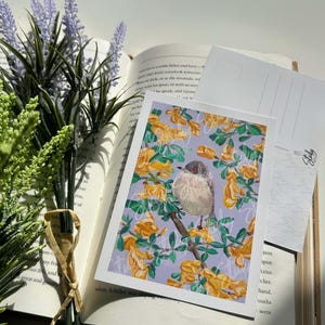 Samtkopf-Grasmücke Postkarte | Vogel Postkarte | Postkarte | Gußkarte, Postkarten Geschenk, Mini-Artprint, Dekorativer Kunstdruck