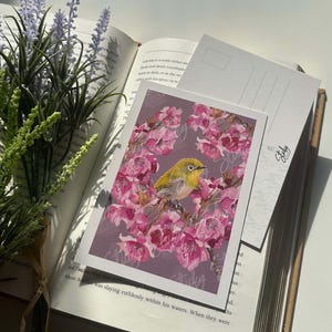 Japanbrillenvogel  Postkarte | Vogel Postkarte | Postkarte | Gußkarte, Postkarten Geschenk, Mini-Artprint, Dekorativer Kunstdruck