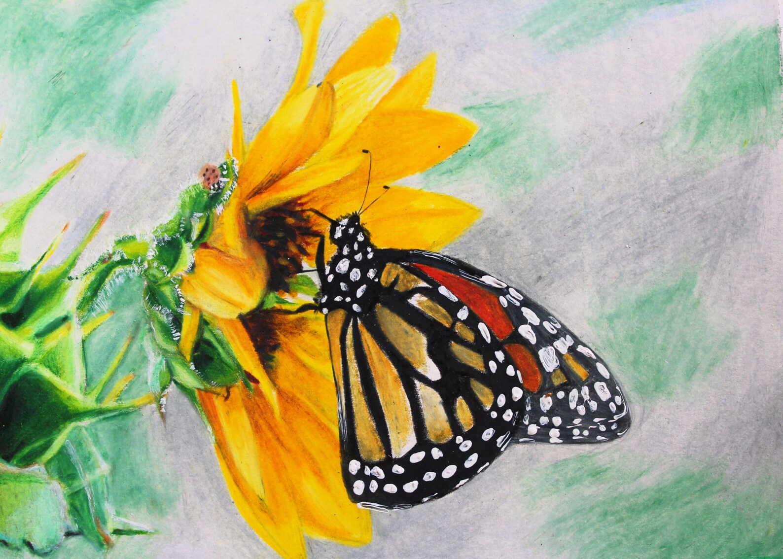 Butterfly Sunflower Colored Pencil Artwork Digital Copy Hand Etsy