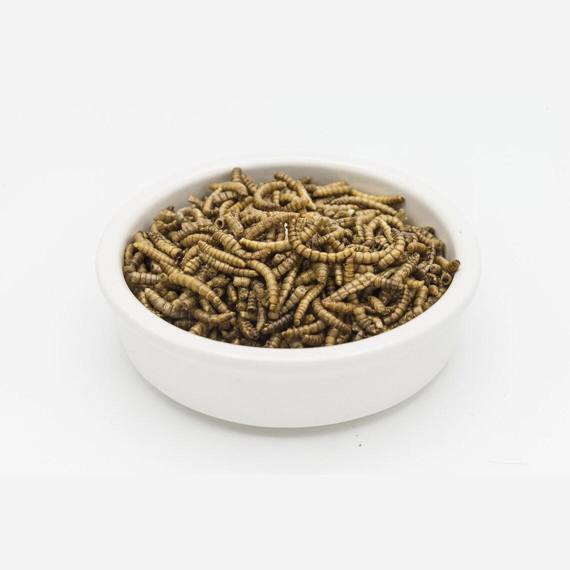 Venus Fly Trap Food Freeze Dried Meal Worms 4oz Etsy