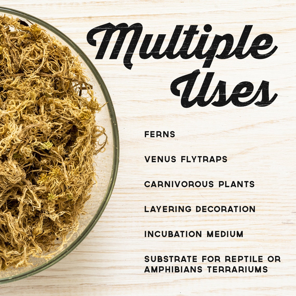 Venus Fly Trap Soil Long Fibered Sphagnum Moss 2 Quarts Etsy