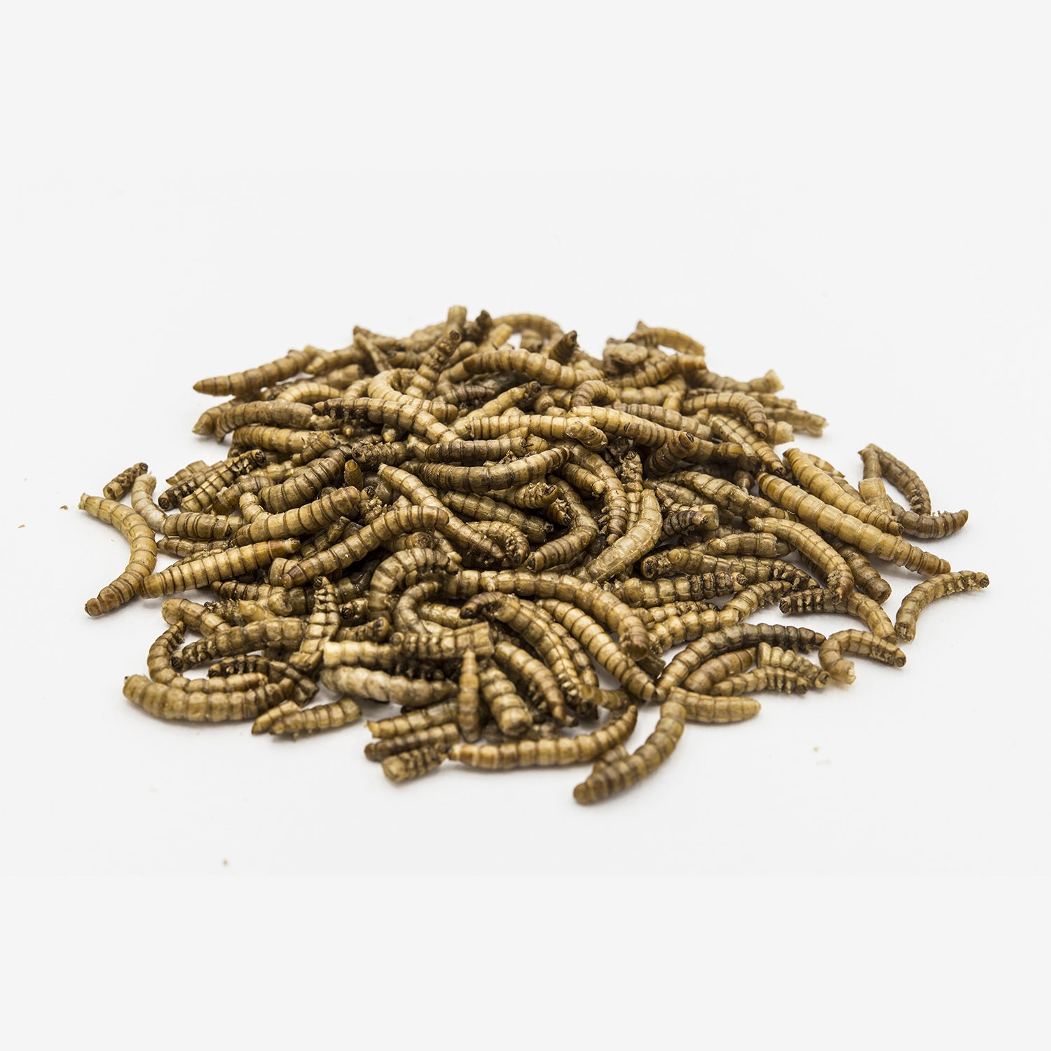 Venus Fly Trap Food Freeze Dried Meal Worms 4oz Etsy