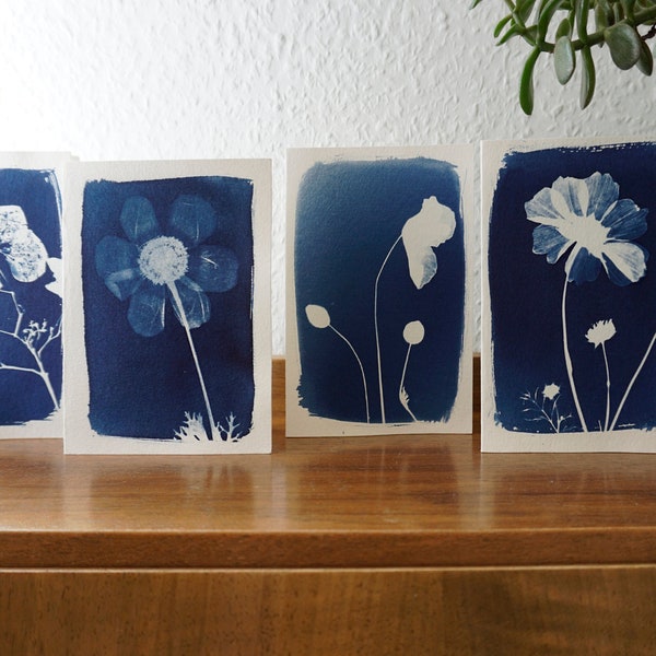 4er Set Postkarten Cards Blumen Hortensie Mohnblume Cosmea Schmuckkörbchen Garten Cyanotypie Blaudruck