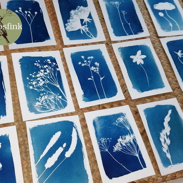 Mini jeu de cartes 8 pièces I cartes de vœux I cartes postales I cyanotype - botanique