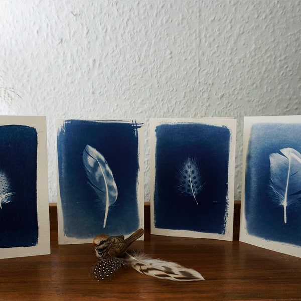 4er Set Postkarten Cards Federn Ente Perlhuhn Cyanotypie Blaudruck; V1