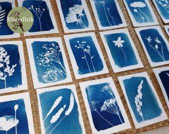 Mini jeu de cartes 8 pièces I cartes de vœux I cartes postales I cyanotype - botanique