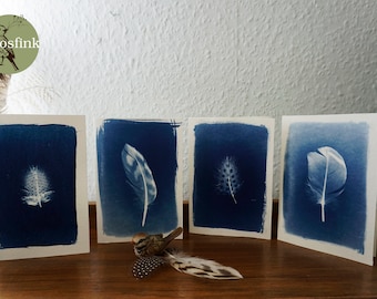 Set of 4 Postcards Cards Feathers Duck Guinea fowl Cyanotype Blue print; V1