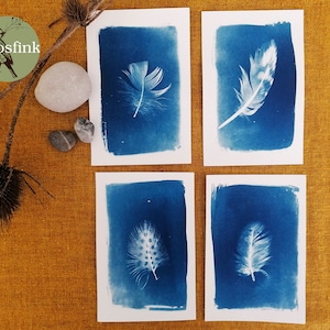4er Set Postkarten Cards Federn Ente Perlhuhn Cyanotypie Blaudruck, V2