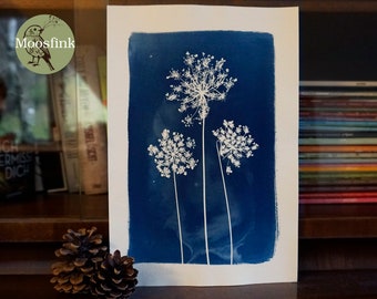 Plante de fleur sauvage Cyanotype Blue Print 20 x 28 cm