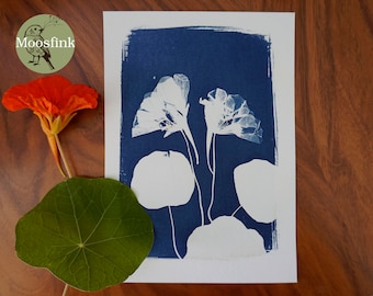 Kapuzinerkresse Garten Cyanotypie Blaudruck Print 13 x 18 cm