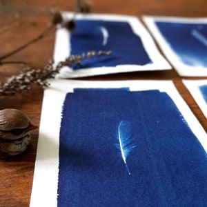 Set van 4 ansichtkaarten mini veren vogels cyanotypie blauwe print