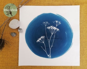 Wild herbs Ackerdill (Anethum graveolens), 30 cm x 30 cm cyanotype blue print