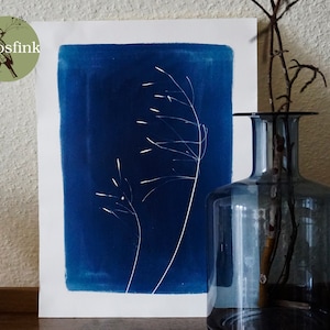 Wild Grass, Serie &quot;Summer Wind&quot;, Deel 3, 30 cm x 40 cm Cyanotype Blauwdruk