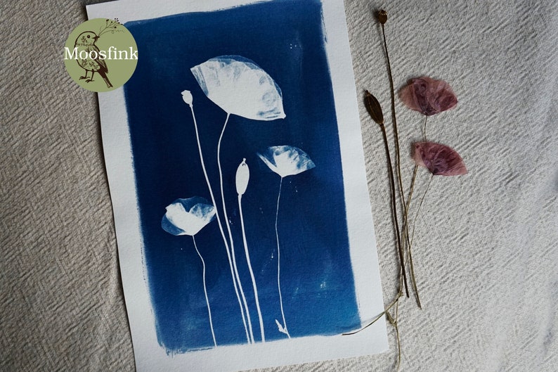 Mohnblume Wildblume Cyanotypie Blaudruck 20 x 28 cm Bild 1