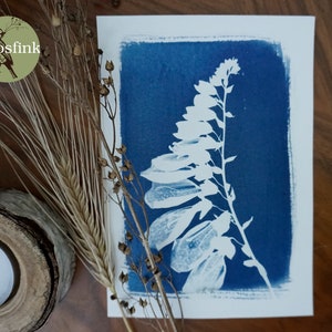 Vingerhoed Wildflower Forest Cyanotype Blue Print Print 13 x 18 cm