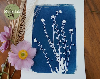 Vergeet-me-niet boswildbloem cyanotype blauw print 13 x 18 cm