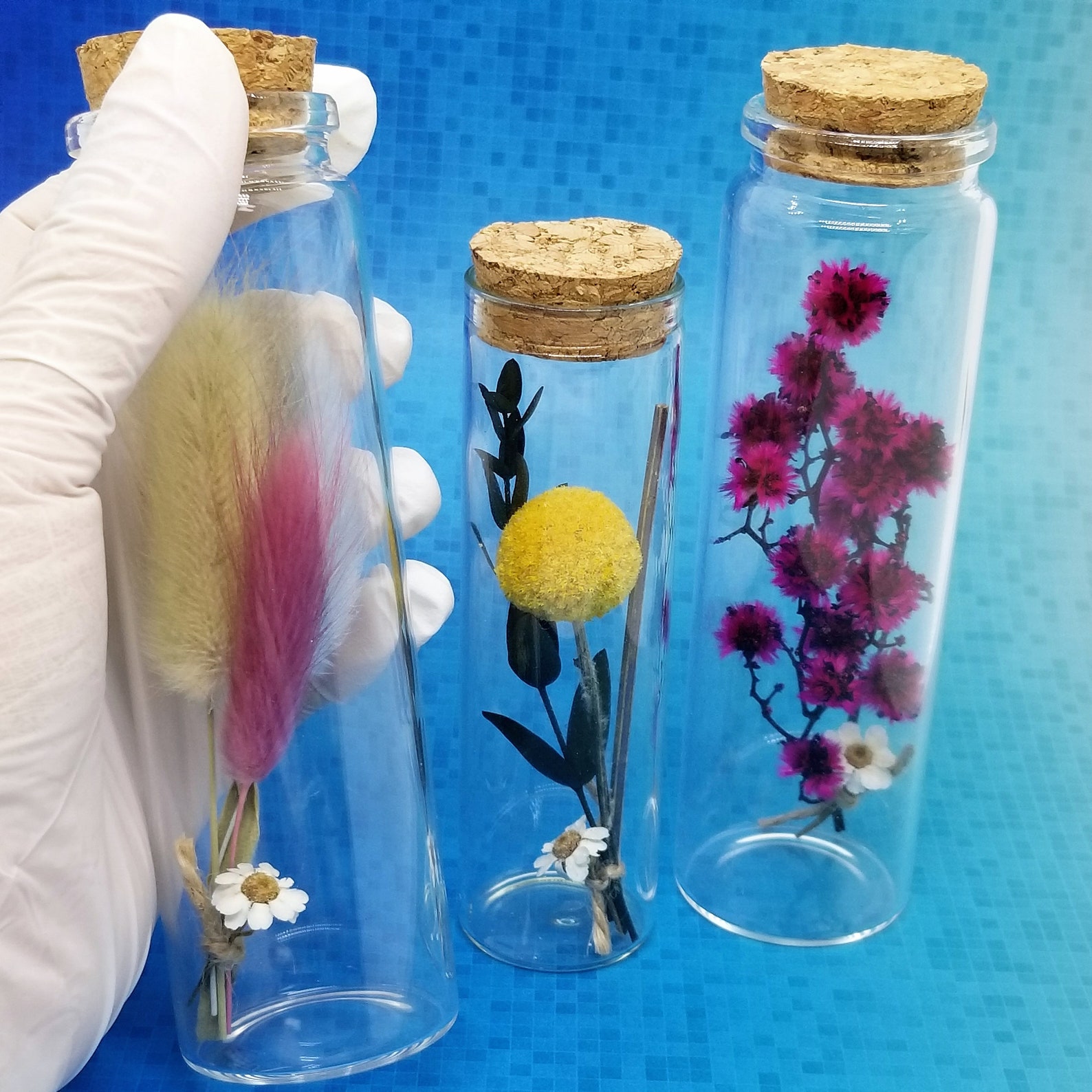 Preserved Real Flowers Dry Flowers in Glass Bottle for Etsy