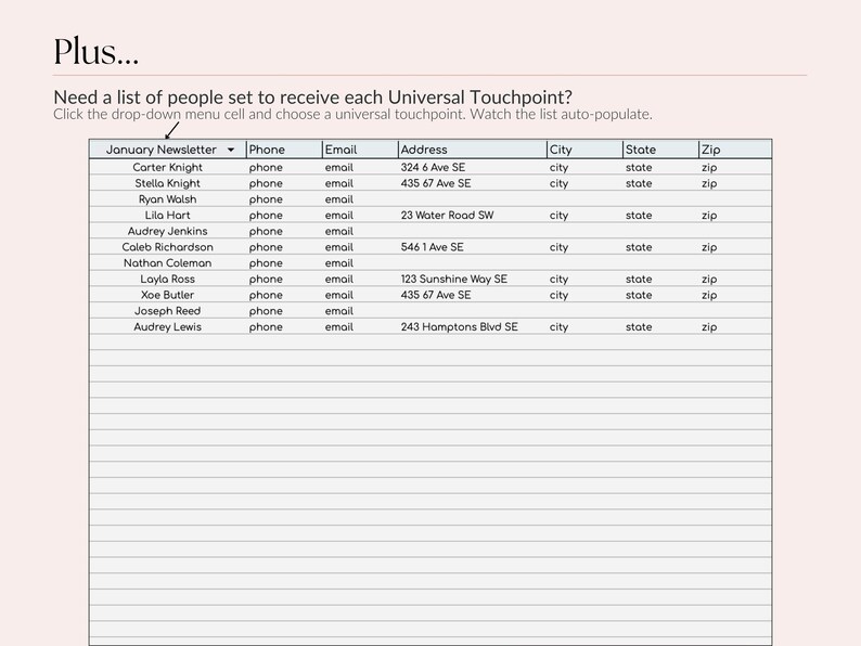 Op de afbeelding: Een spreadsheet op een lichtroze achtergrond toont een lijst met contacten met kolommen voor telefoon, e-mail en adres. De tekst bovenaan luidt: "Een lijst nodig van mensen die elke Universal Touchpoint moeten ontvangen?" De eerste kolom is gelabeld "Januari Nieuwsbrief".