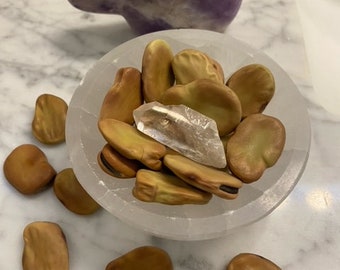 MOJO ÖNSKEBÖNOR (10)