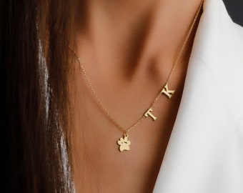 necklace with pets picture