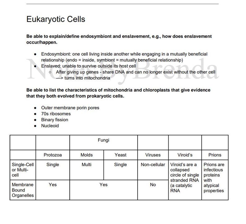 Microbiology Study Guide With Practice Exam Etsy